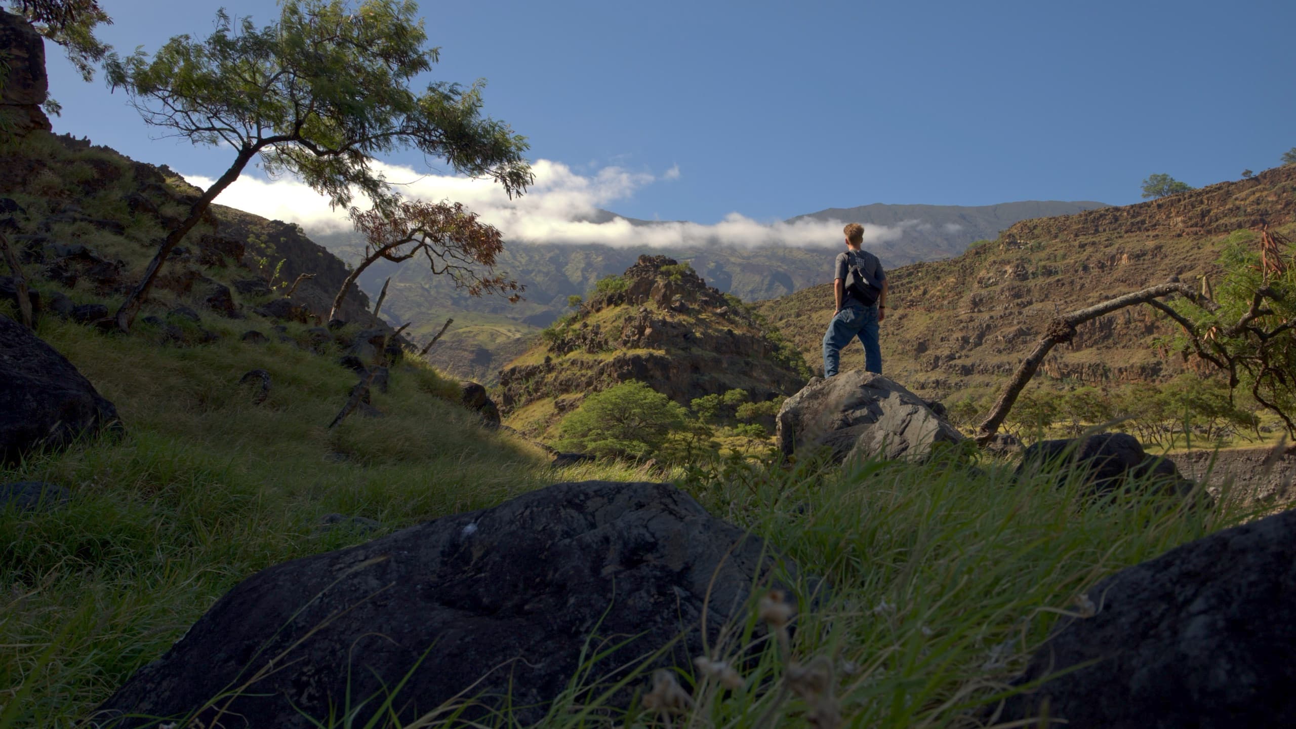 Russell standing on a rock overlooking a green ravine in Maui, Hawaii